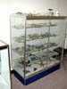 DSCN3163