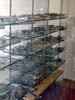 DSCN3167