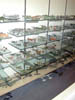 DSCN3168