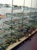 DSCN3169