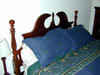 DSCN3208