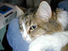 DSCN3233