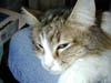 DSCN3234