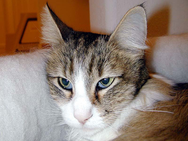 DSCN3311