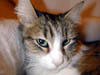 DSCN3310