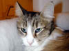 DSCN3311