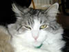 DSCN3339