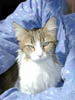 DSCN3668