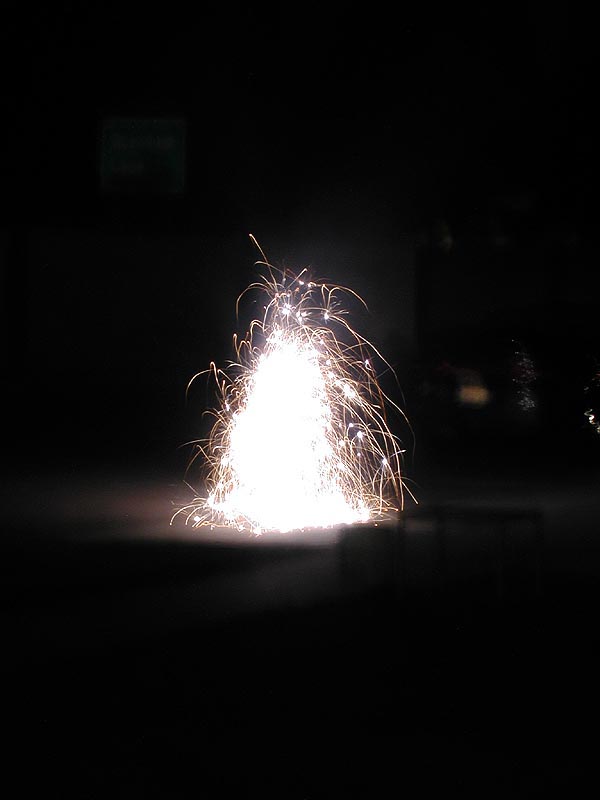 DSCN5352