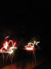 DSCN5348