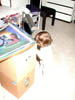 DSCN5369