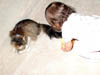 DSCN5401