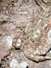 DSCN5648
