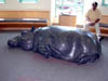 DSCN0025