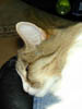 DSCN0343