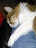 DSCN0345