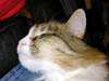 DSCN0348