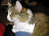 DSCN0350