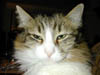 DSCN0353