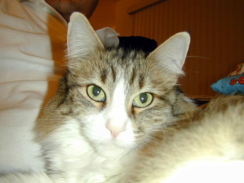 DSCN0362