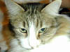 DSCN0365