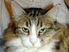 DSCN0366