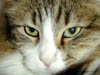 DSCN0368