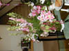 DSCN0421