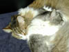 DSCN0004