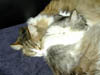 DSCN0005