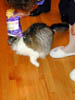 DSCN0688