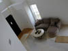 DSCN0798