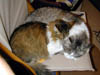 DSCN0851