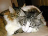 DSCN0852