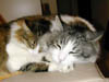 DSCN0856