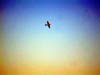 DSCN1908