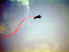 DSCN1983