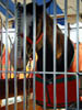 DSCN2009