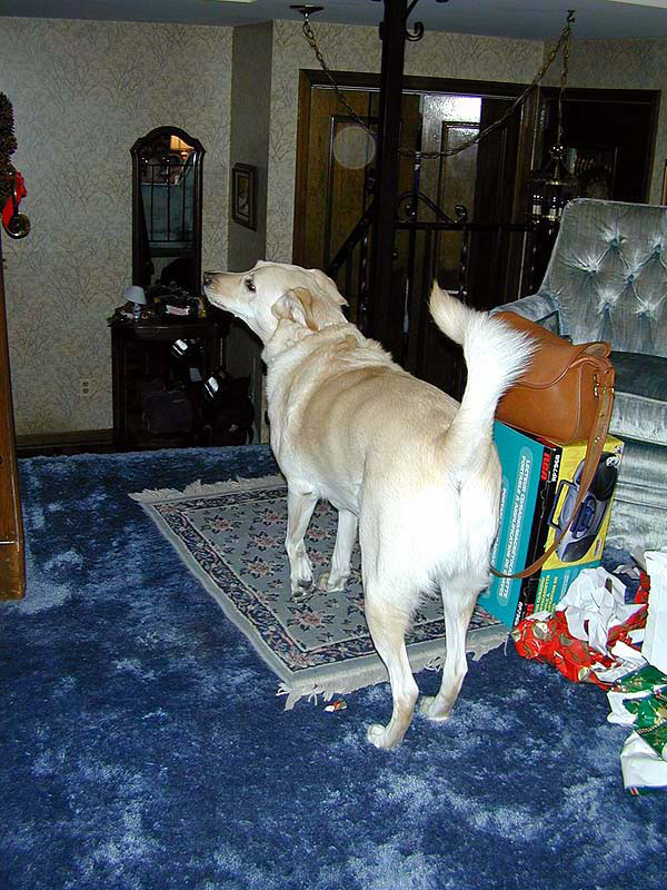 DSCN3006